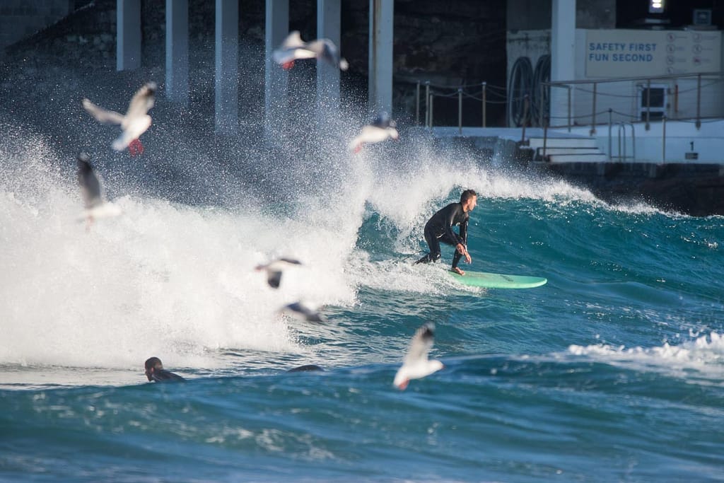 Olympic Surfing: A Deep Dive into the Gleeful World of Waves