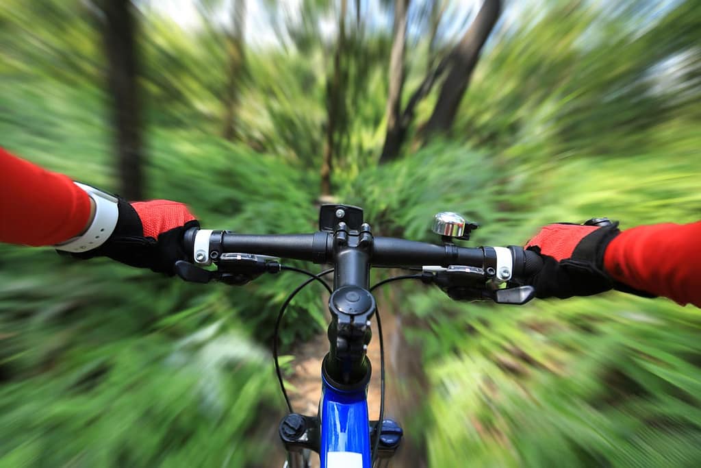 What is MTB? To Discover Trails and Improve Abilities