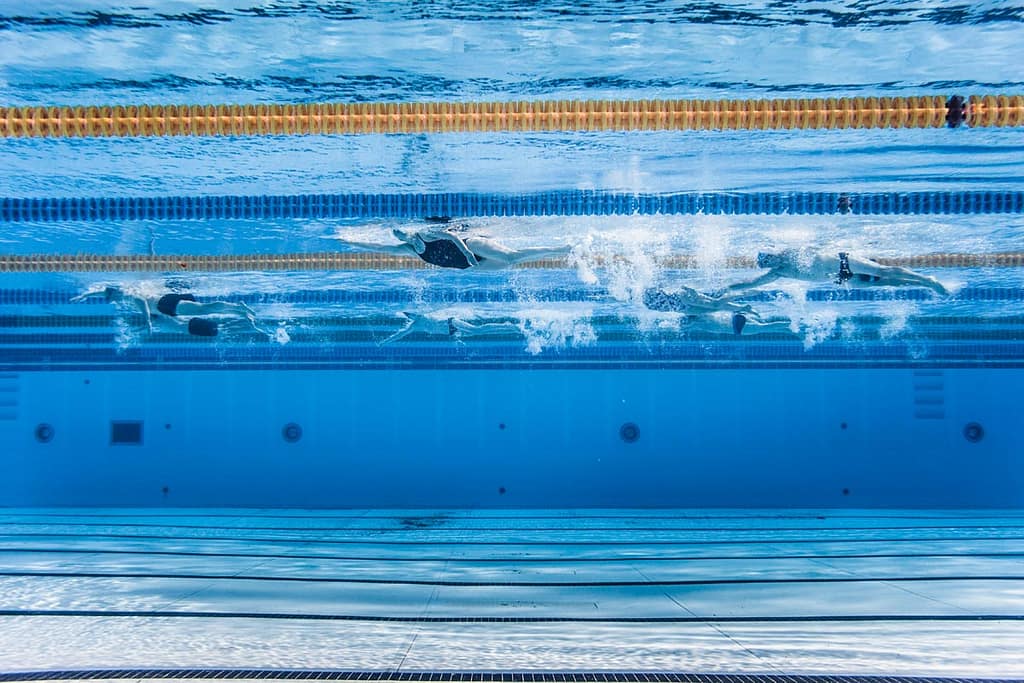 What is Swimming? Glorious Past, Bright Future