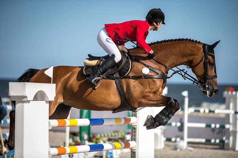 What is Equestrian? Authentic Elegance for Horses and Riders